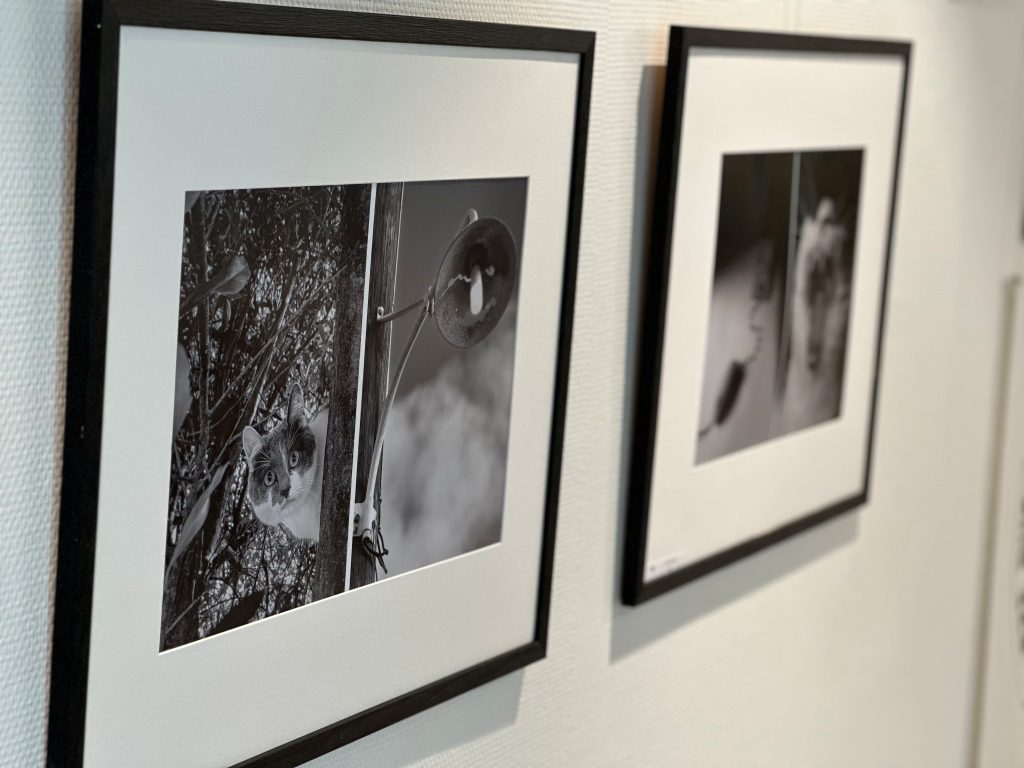 Photo Expo 1